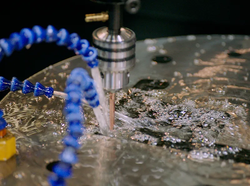 العفن عن قرب